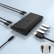 2 In 1 Out 4K 60Hz Type-C Notebook Dedicated KVM Switch(Black) - Eurekaonline