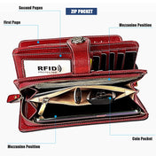 3556 Large Capacity Long Multi-function Anti-magnetic RFID Wallet Clutch for Ladies with Card Slots (Brown) Eurekaonline