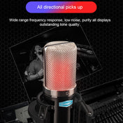 Alctron CM6 Lite Large Diaphragm Condenser Microphone Recording Computer Desktop Microphone Eurekaonline