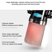 Alctron CM6 Lite Large Diaphragm Condenser Microphone Recording Computer Desktop Microphone Eurekaonline