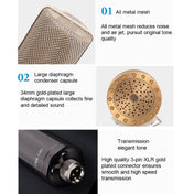 Alctron CM6 Lite Large Diaphragm Condenser Microphone Recording Computer Desktop Microphone Eurekaonline