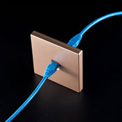 CAT.6 Shielded Pass-through Network Module, Dual Ports Panel + Shielded Pass-through (Gold) Eurekaonline