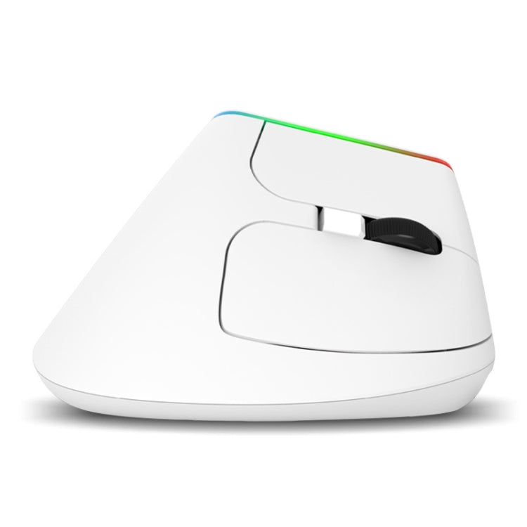 DELUX M618C 6 Keys 1600 DPI RGB Vertical Wireless Bluetooth Dual Mode Mouse(White) Eurekaonline
