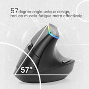 DELUX M618C 6 Keys 1600 DPI RGB Vertical Wireless Bluetooth Dual Mode Mouse(White) Eurekaonline