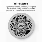 EWA A115 Portable Metal Bluetooth Speaker 105H Power Hifi Stereo Outdoor Subwoofer(Gold) Eurekaonline