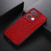 For OPPO Reno8 Pro+ 5G China / 8 Pro 5G Foreign Crocodile Top Layer Cowhide Leather Phone Case(Red) Eurekaonline
