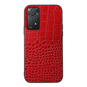 For Xiaomi Redmi Note 11 Pro Global Crocodile Top Layer Cowhide Leather Case(Red) Eurekaonline