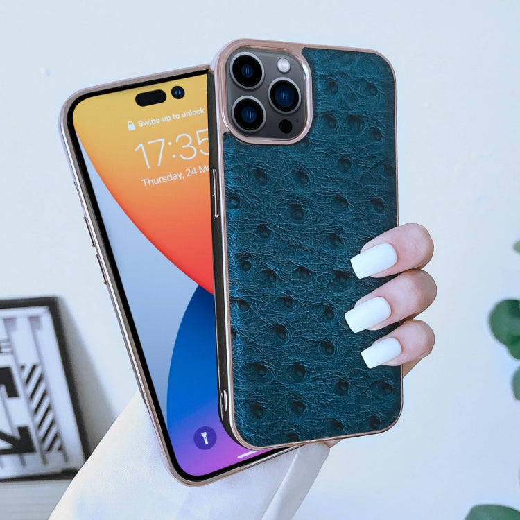 For iPhone 14 Pro Max Genuine Leather Ostrich Texture Nano Case (Black) Eurekaonline