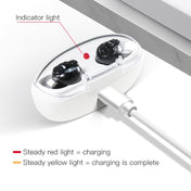 Magnetic Charge Dual-unit Sound Collector, Specification: EU Plug(Black) Eurekaonline