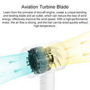 Original Xiaomi Mijia H300 Negative Ion Quick Drying Electric Hair Dryer, US Plug(White) Eurekaonline