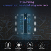 Q33 External Play MP3 Voice Control High Definition Noise Reduction Recording Pen, 32G, Support Password Protection & One-touch Recording Eurekaonline