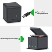 RUIGPRO USB Triple Batteries Housing Charger Box with LED Indicator Light for DJI OSMO Action Eurekaonline