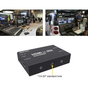 SEETEC 1 x HDMI Input to 2 x SDI Output Converter Eurekaonline