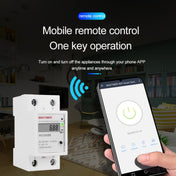 SINOTIMER WDS688 Smart WiFi Single-Phase Power Meter Mobile APP Home Rail Meter 5-60A 230V Eurekaonline