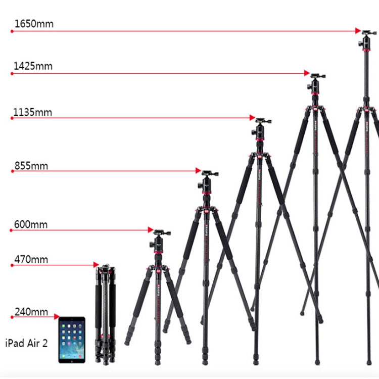 TRIOPO 888 Adjustable Portable Carbon Fiber Tripod with Q-2 Ball Head for SLR Camera, Pipe diameter: 28cm Eurekaonline