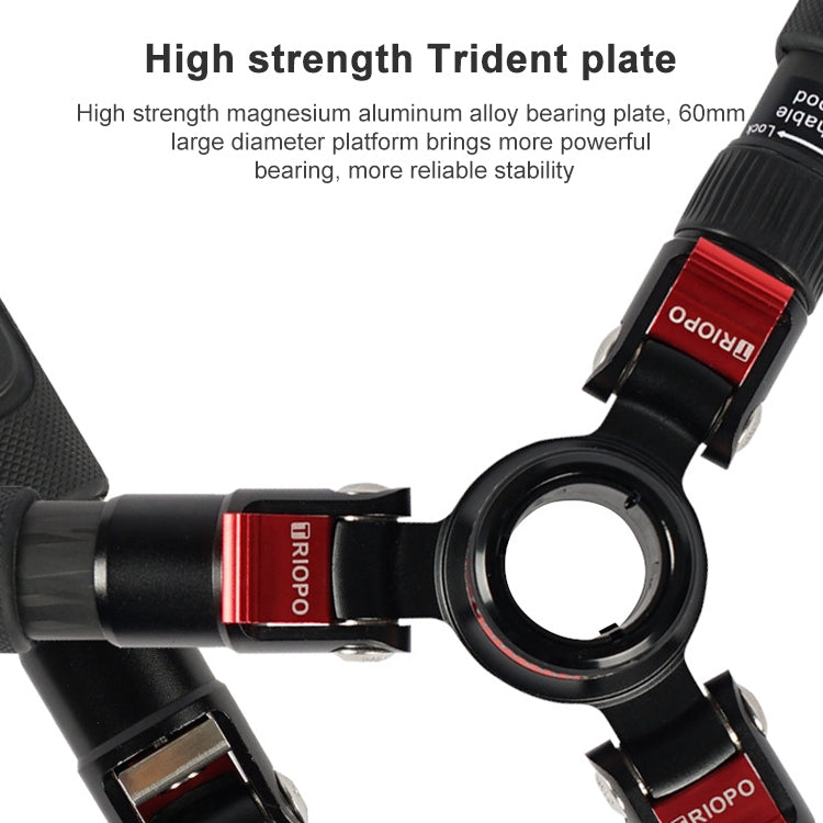 TRIOPO 888 Adjustable Portable Carbon Fiber Tripod with Q-2 Ball Head for SLR Camera, Pipe diameter: 28cm Eurekaonline