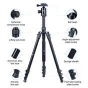 TRIOPO Oubao A-308S Adjustable Portable  Aluminum Alloy Tripod with Ball Head for SLR Camera Eurekaonline