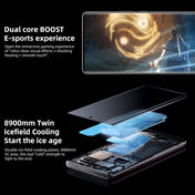 vivo X90 Pro+ 5G, 64MP Camera, 12GB+256GB Eurekaonline