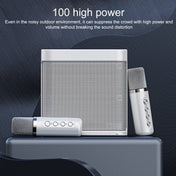 YS-203 Bluetooth Karaoke Speaker Wireless Microphone(Red) - Eurekaonline